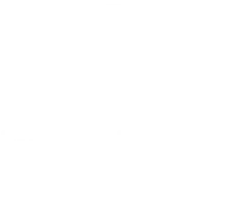 PAEL Sistemas de Segurança e Tecnologia