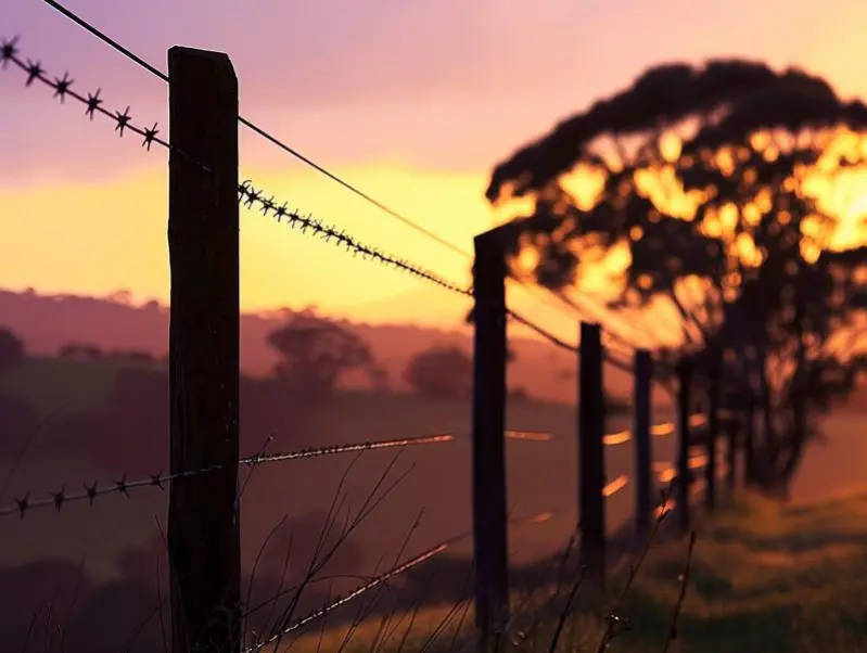 Cerca Elétrica Rural instalada pela PAEL em Goiânia